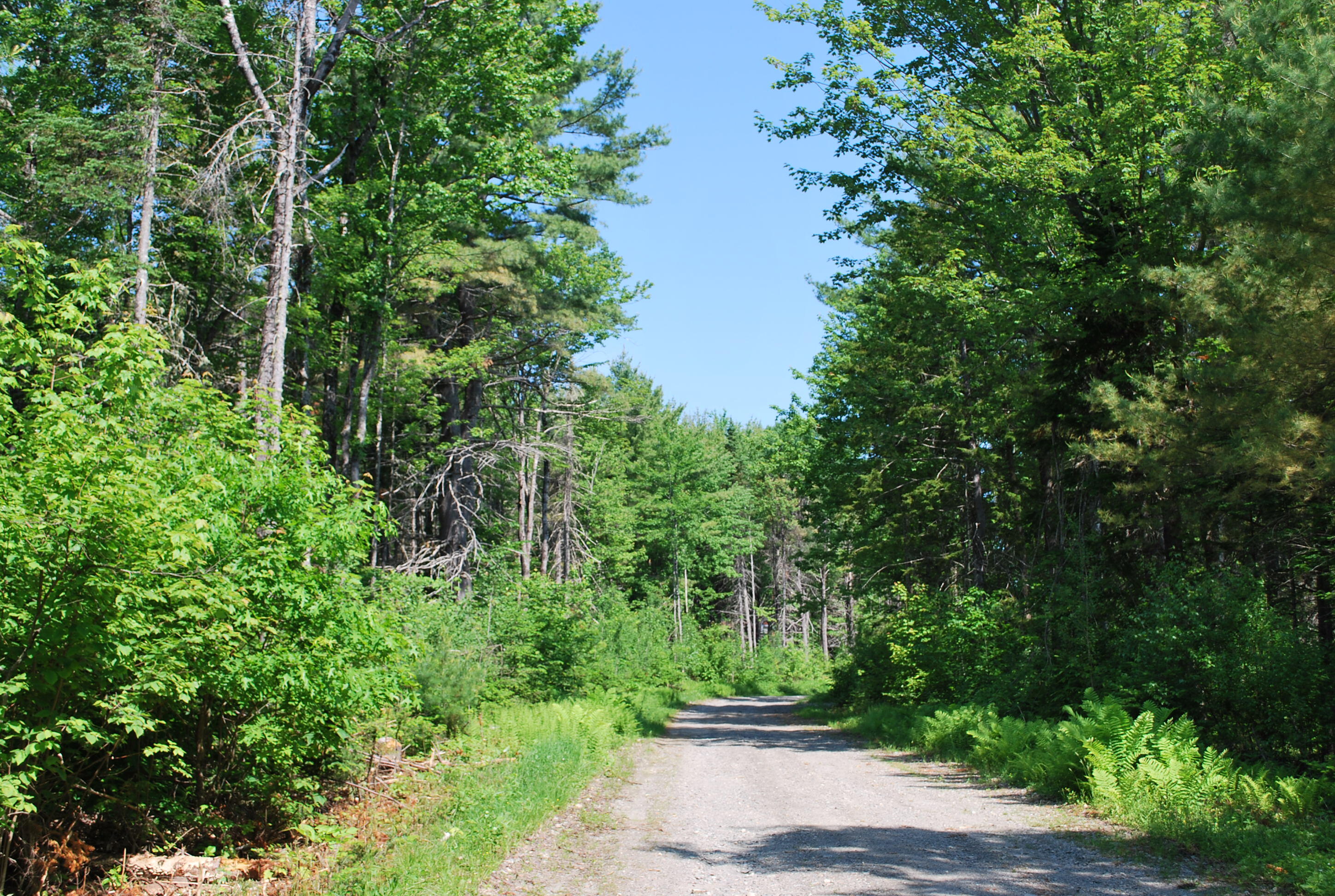 5 Moose Run Road Wellington, ME 04942 - Photo 17 of 17 Kepper & Boyce Listing Pics 018