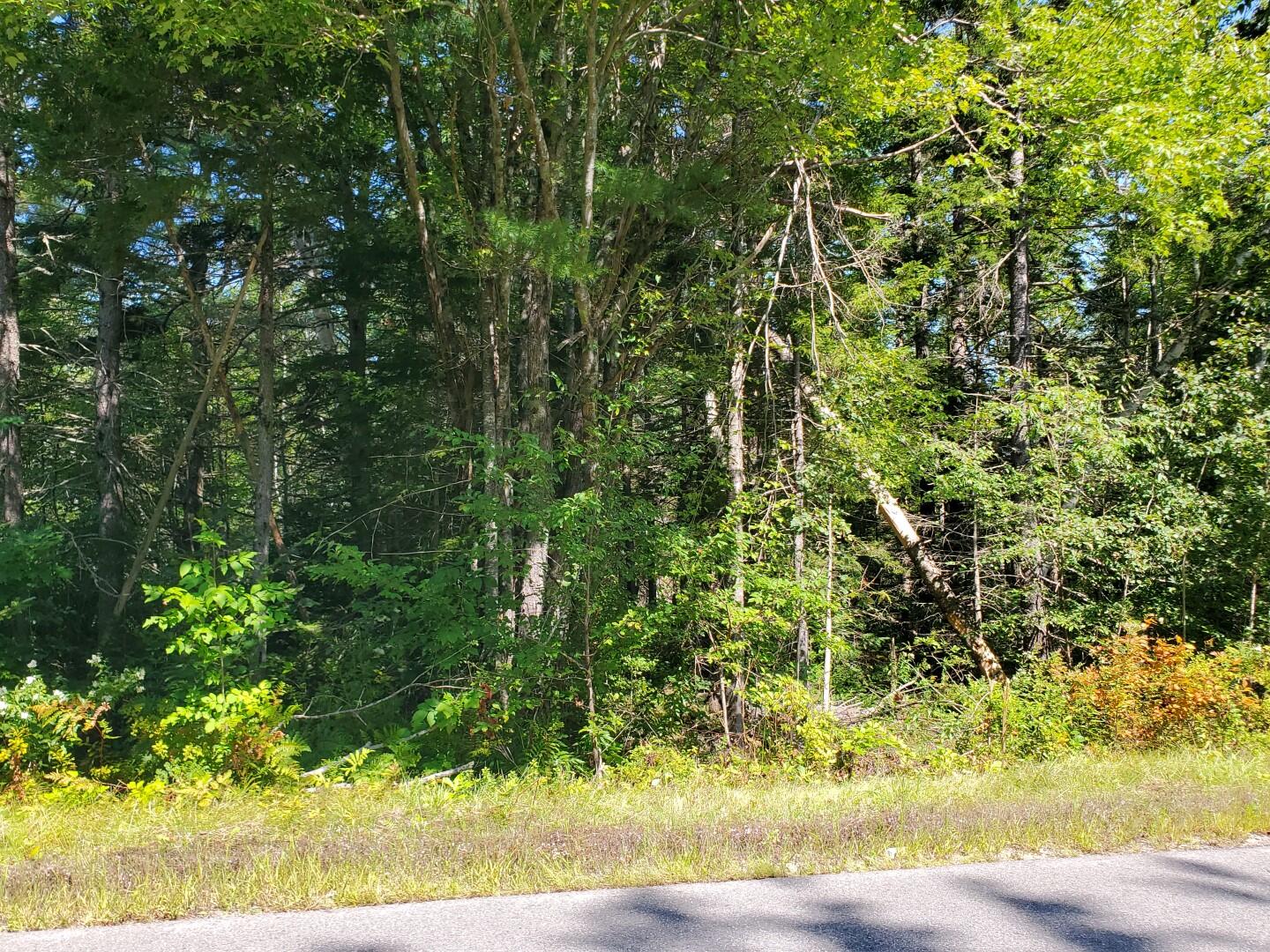 2 Old County Road Stockton Springs, ME 04981 - Photo 3 of 11 O C Rd - 20240824_111155 (Large)