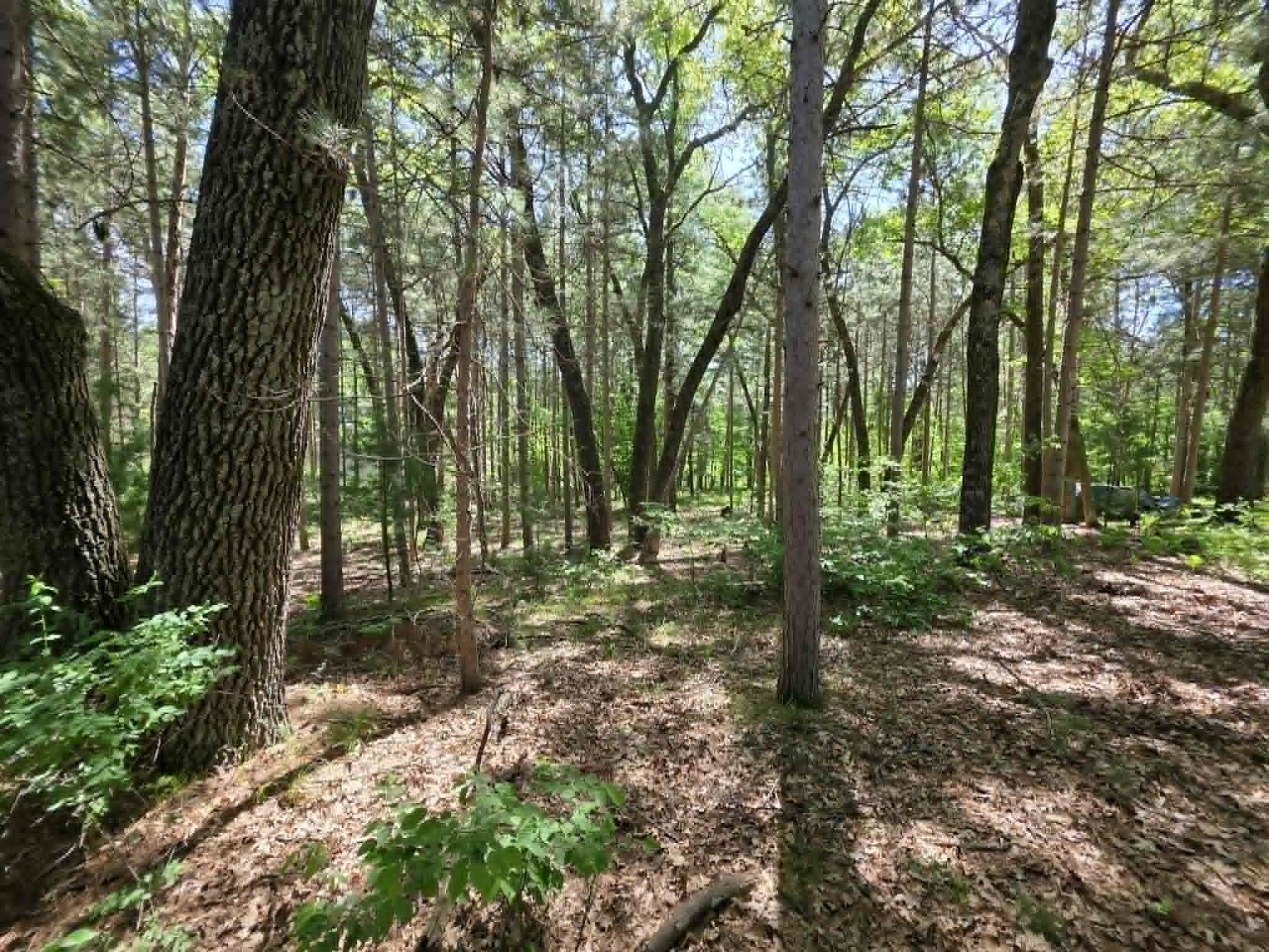 Lot 4 Czech Friendship, WI 53934 - Photo 5 of 7