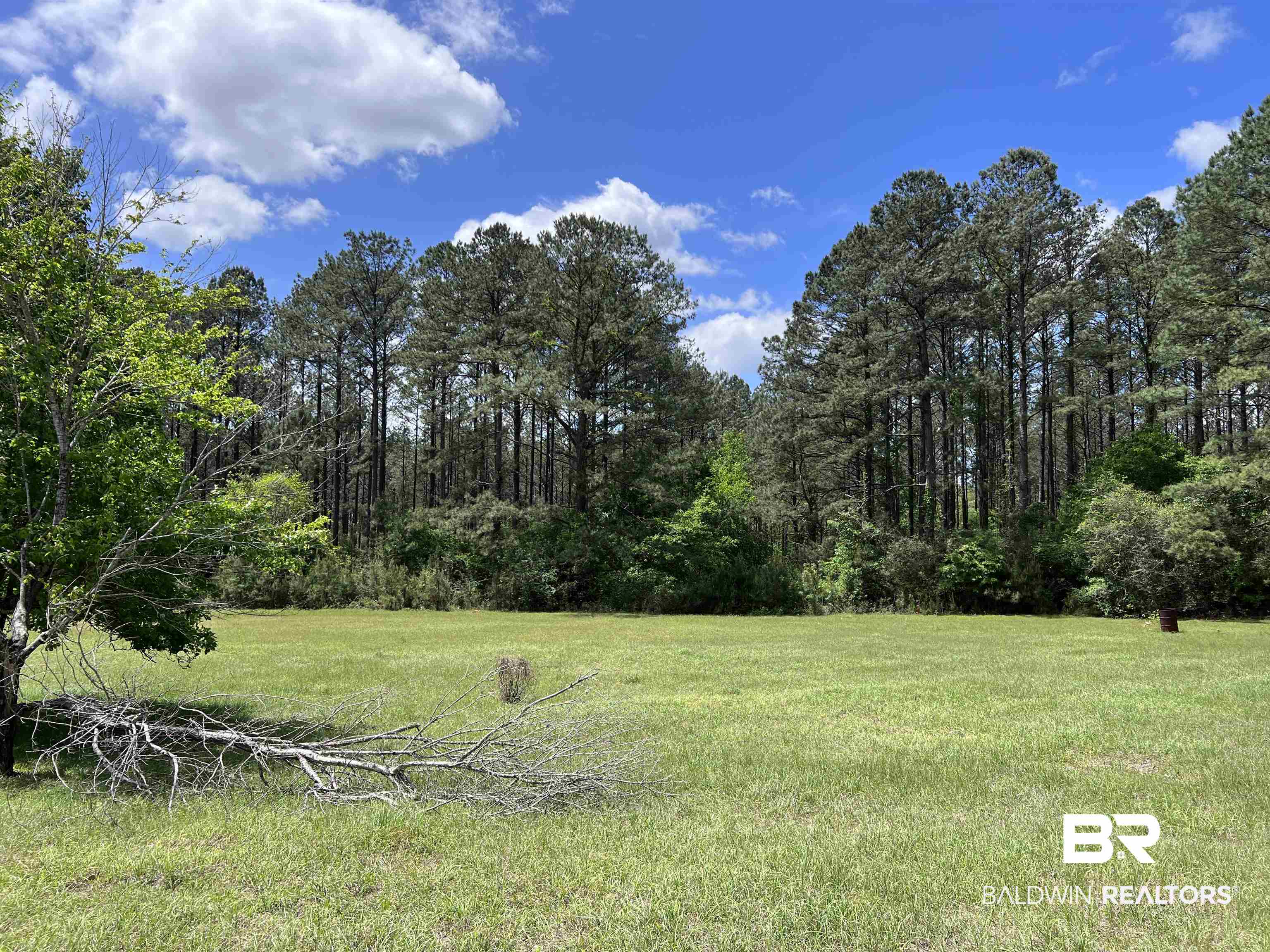 1375 Jones Chapel Road Evergreen, AL 36401 - Photo 23 of 32