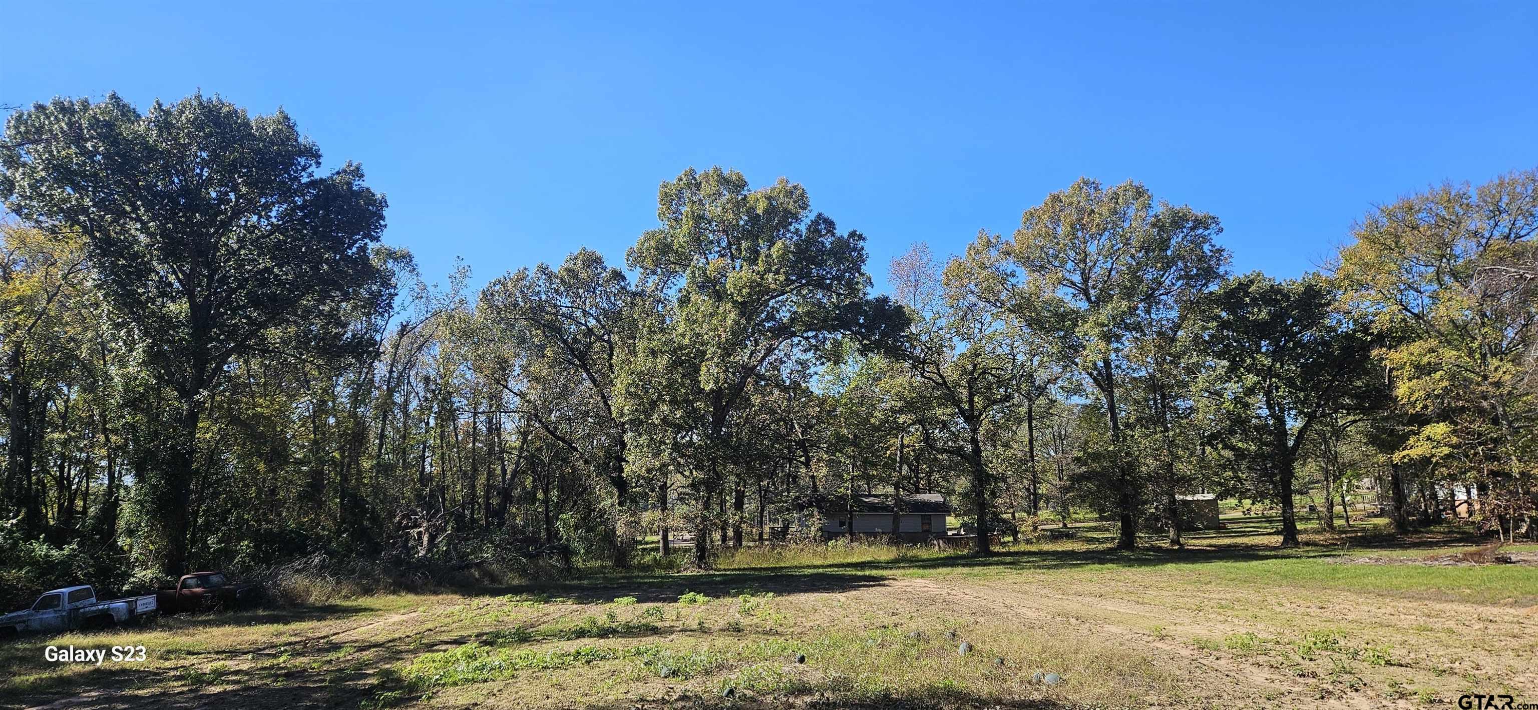 a view of swimming pool with trees