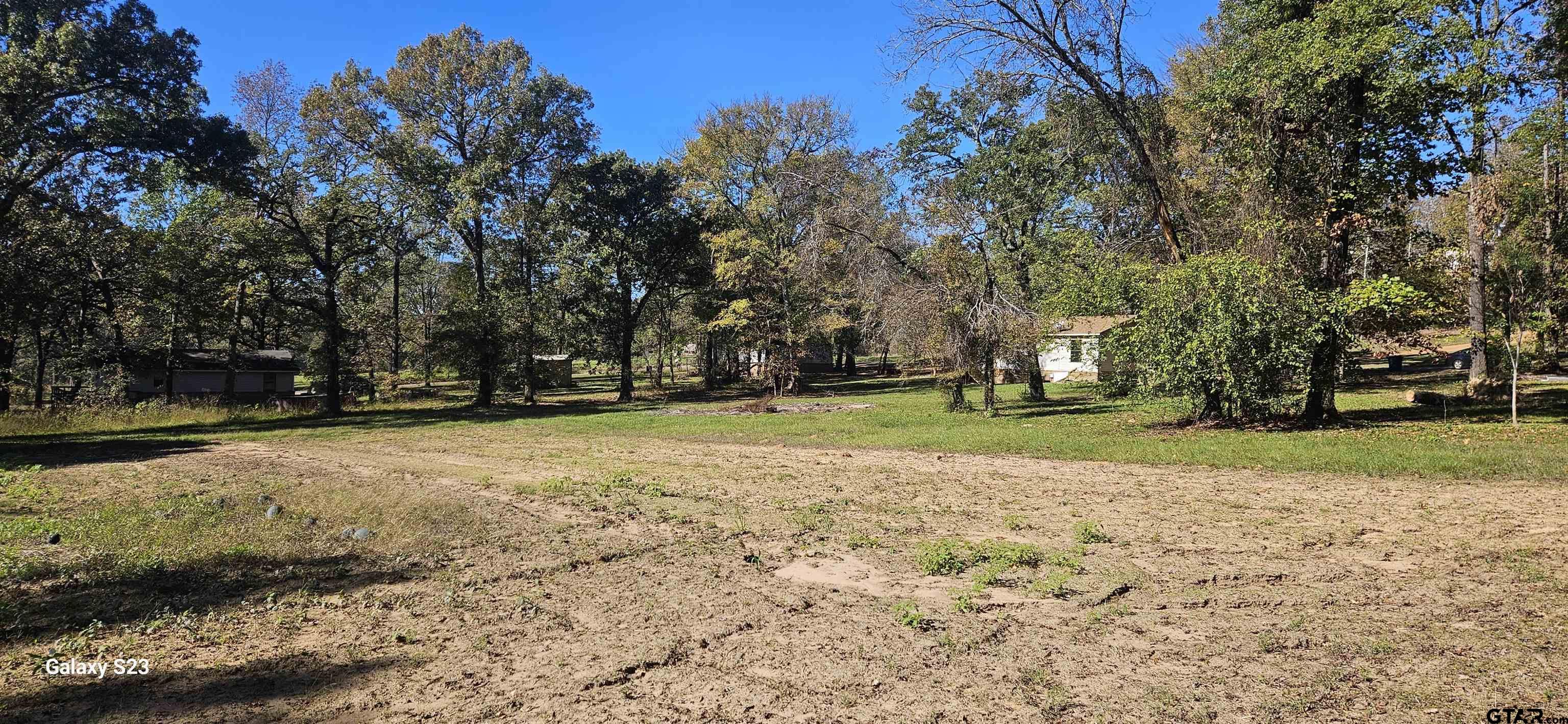 Tbd Walling Drive Tyler, TX 75704 - Photo 4 of 6 a view of a golf course with a tree