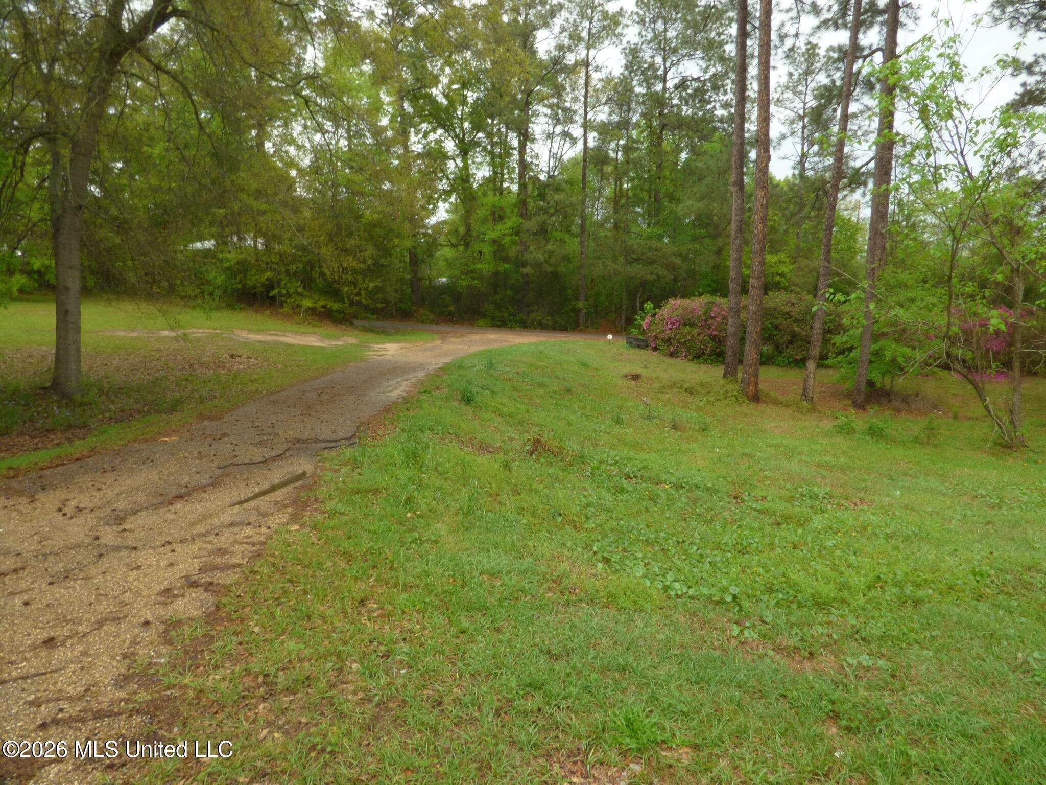 326 Roan Ready Road Monticello, MS 39654 - Photo 17 of 22 P1350165
