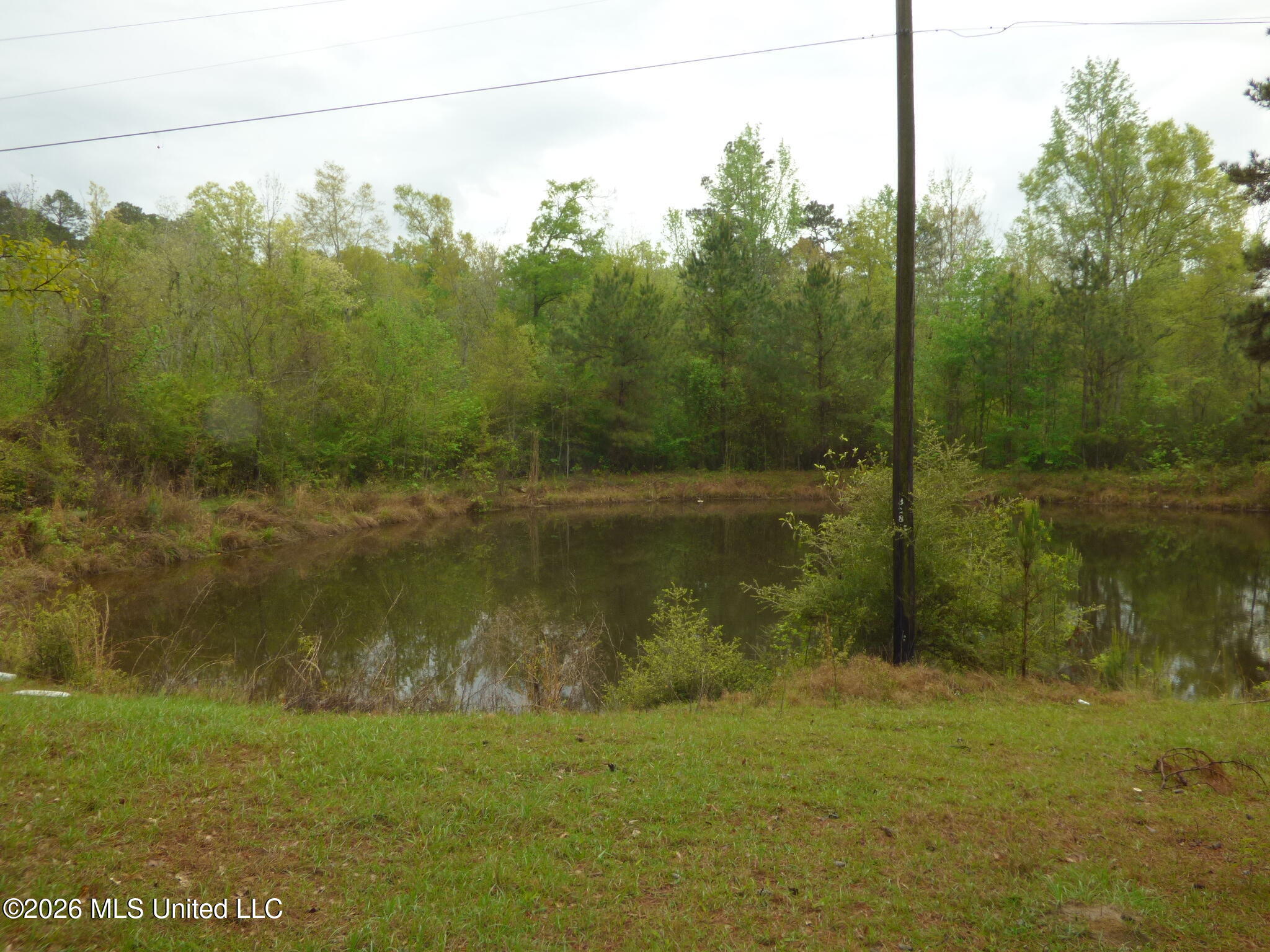 326 Roan Ready Road Monticello, MS 39654 - Photo 20 of 22 P1350170
