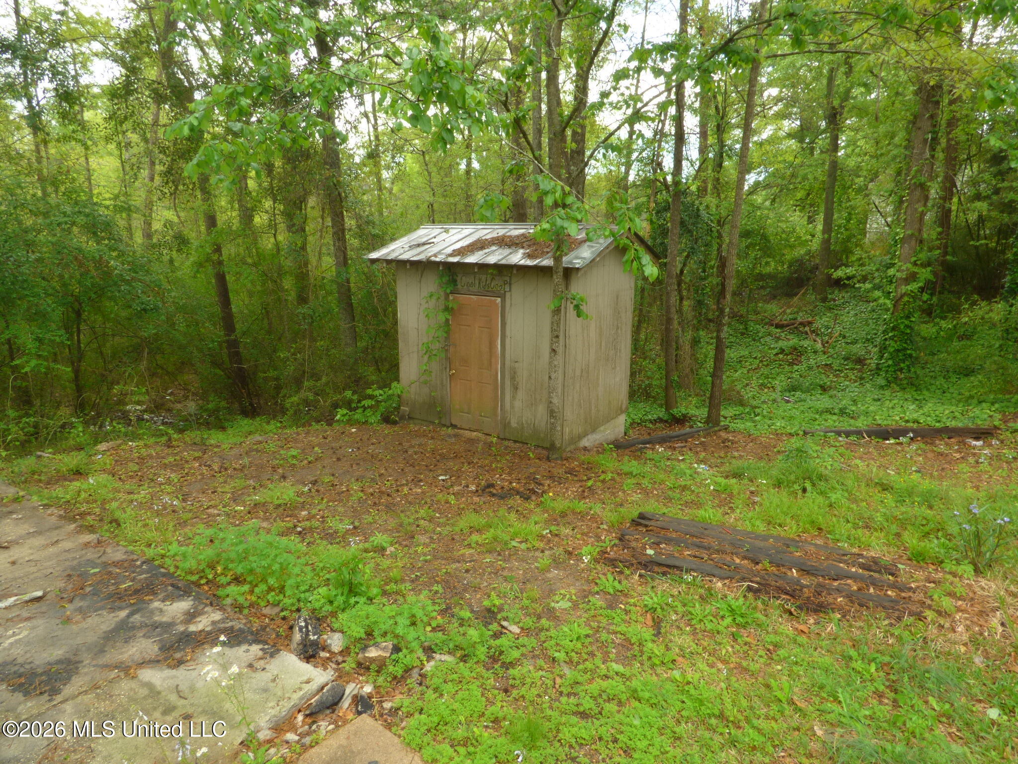 326 Roan Ready Road Monticello, MS 39654 - Photo 21 of 22 P1350151