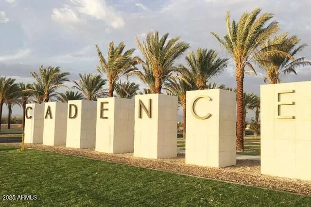 a view of a palm plant with a big yard