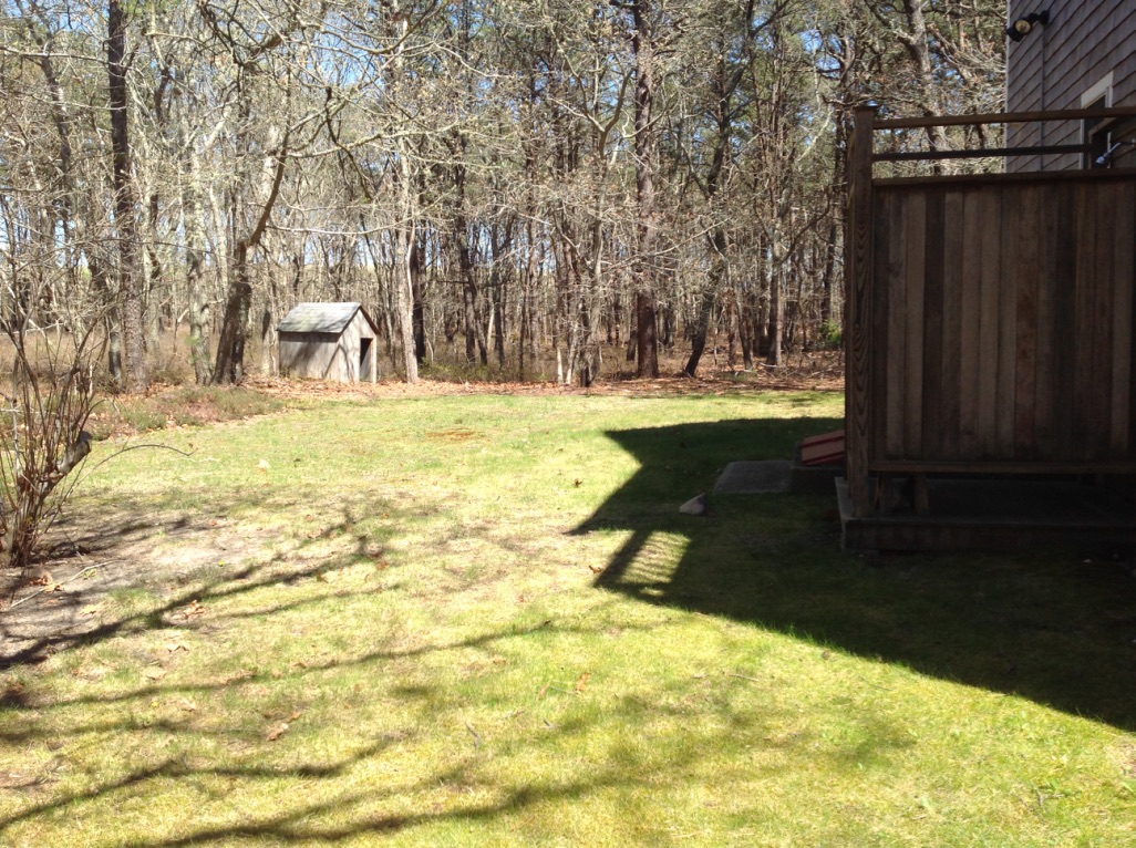 39 Tower Ridge Road Oak Bluffs, MA 02557 - Photo 28 of 33 backyard of house