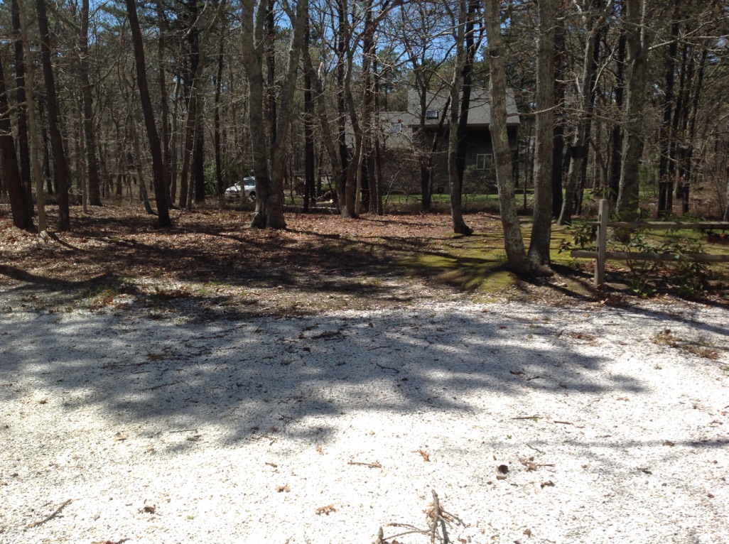 39 Tower Ridge Road Oak Bluffs, MA 02557 - Photo 29 of 33 shell driveway and side yard