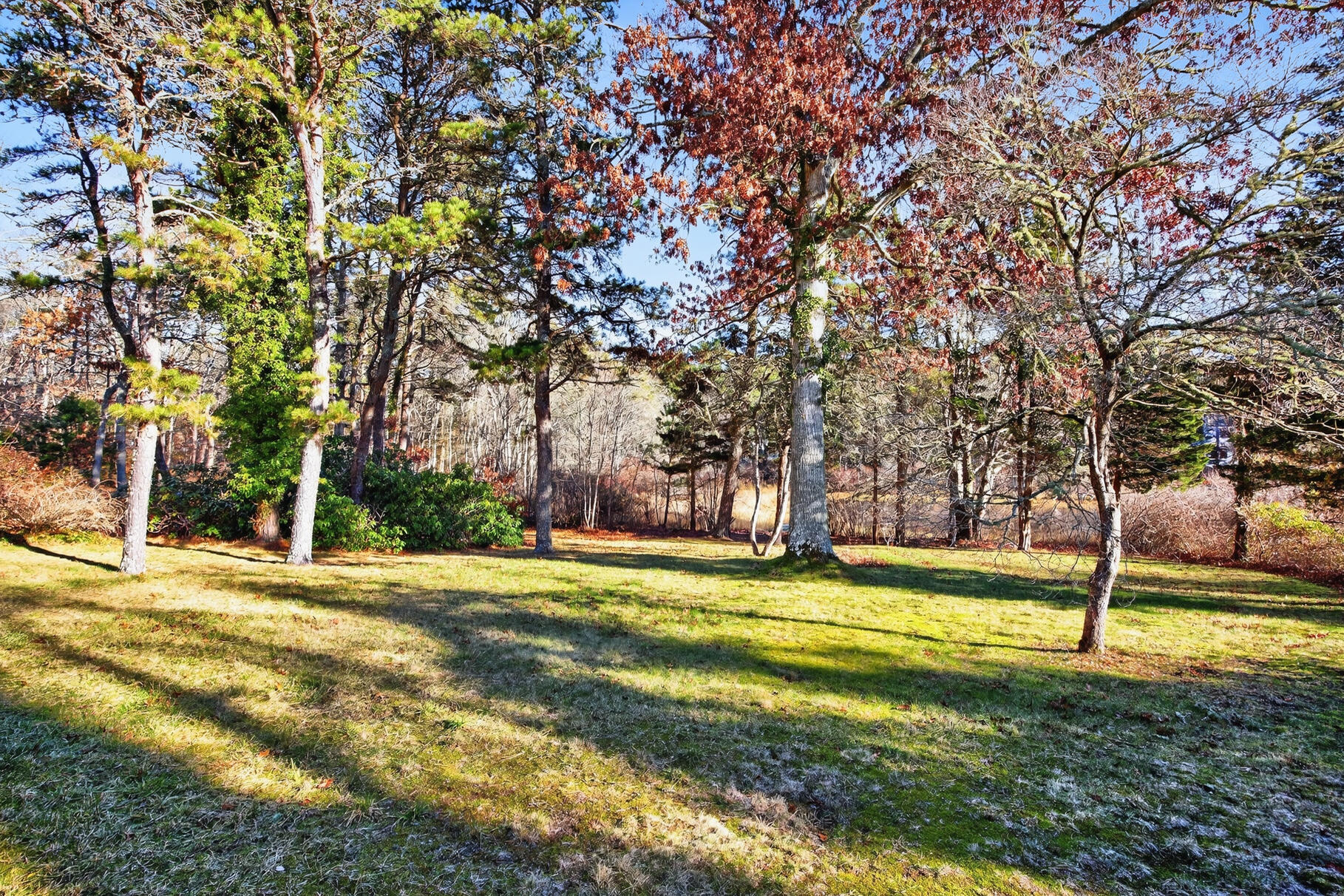 507 South Orleans Road Orleans, MA 02653 - Photo 37 of 41 Backyard