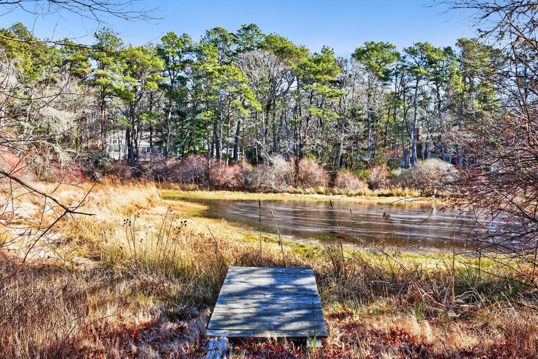 507 South Orleans Road Orleans, MA 02653 - Photo 38 of 41 Lily Pond