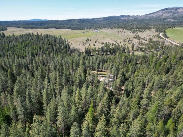 5134 Allen Road Springdale, WA 99173 - Photo 5 of 12