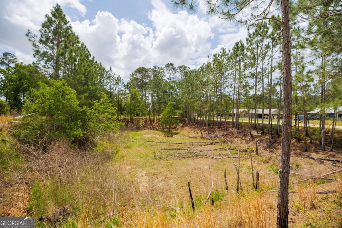 187 Jefferson Road Adel, GA 31620 - Photo 43 of 43 Gallery Image 43