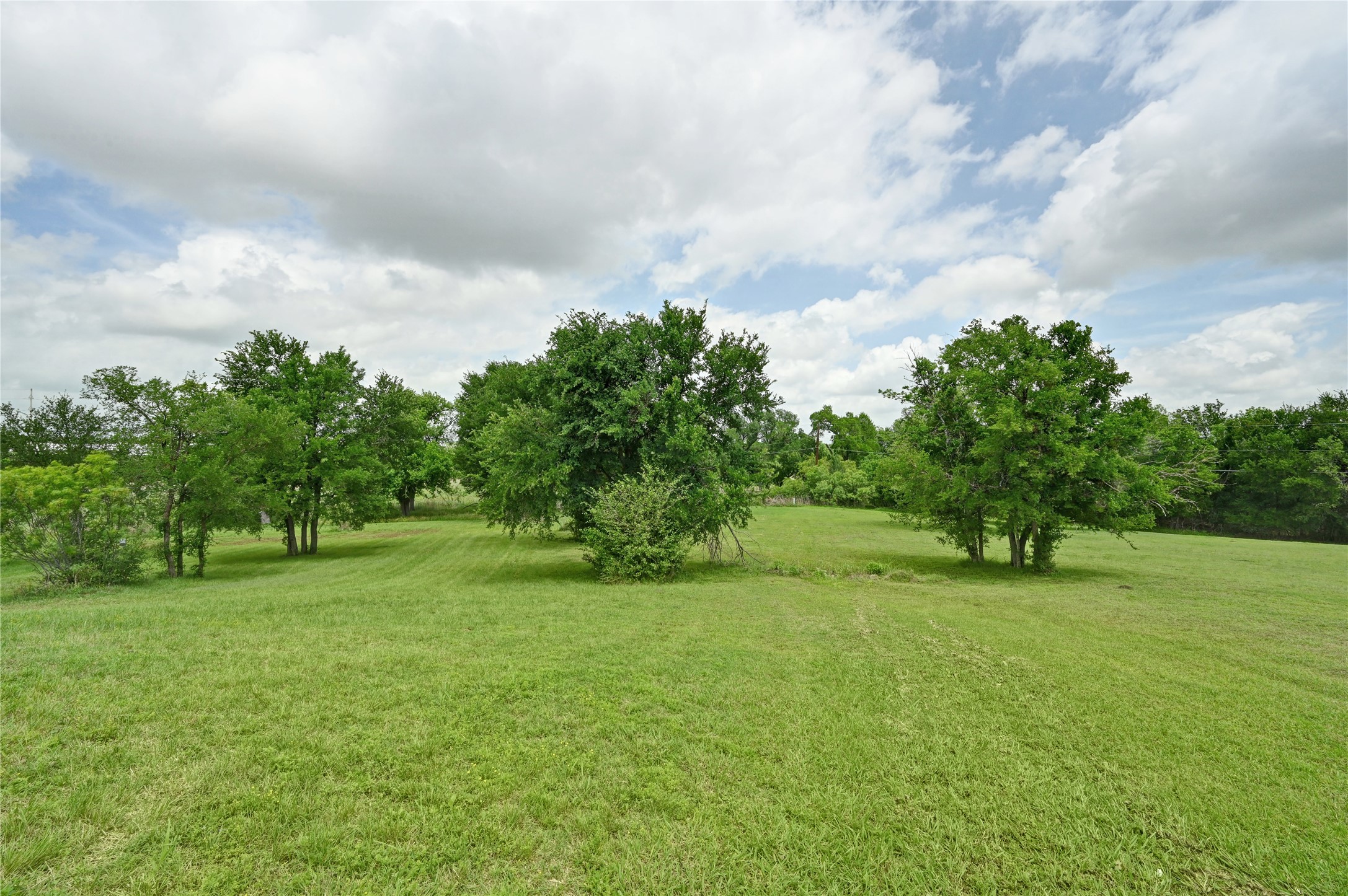 1700 Tanner Loop Taylor, TX 76574 - Photo 25 of 32 Expansive green lawn featuring scattered mature trees and lush foliage