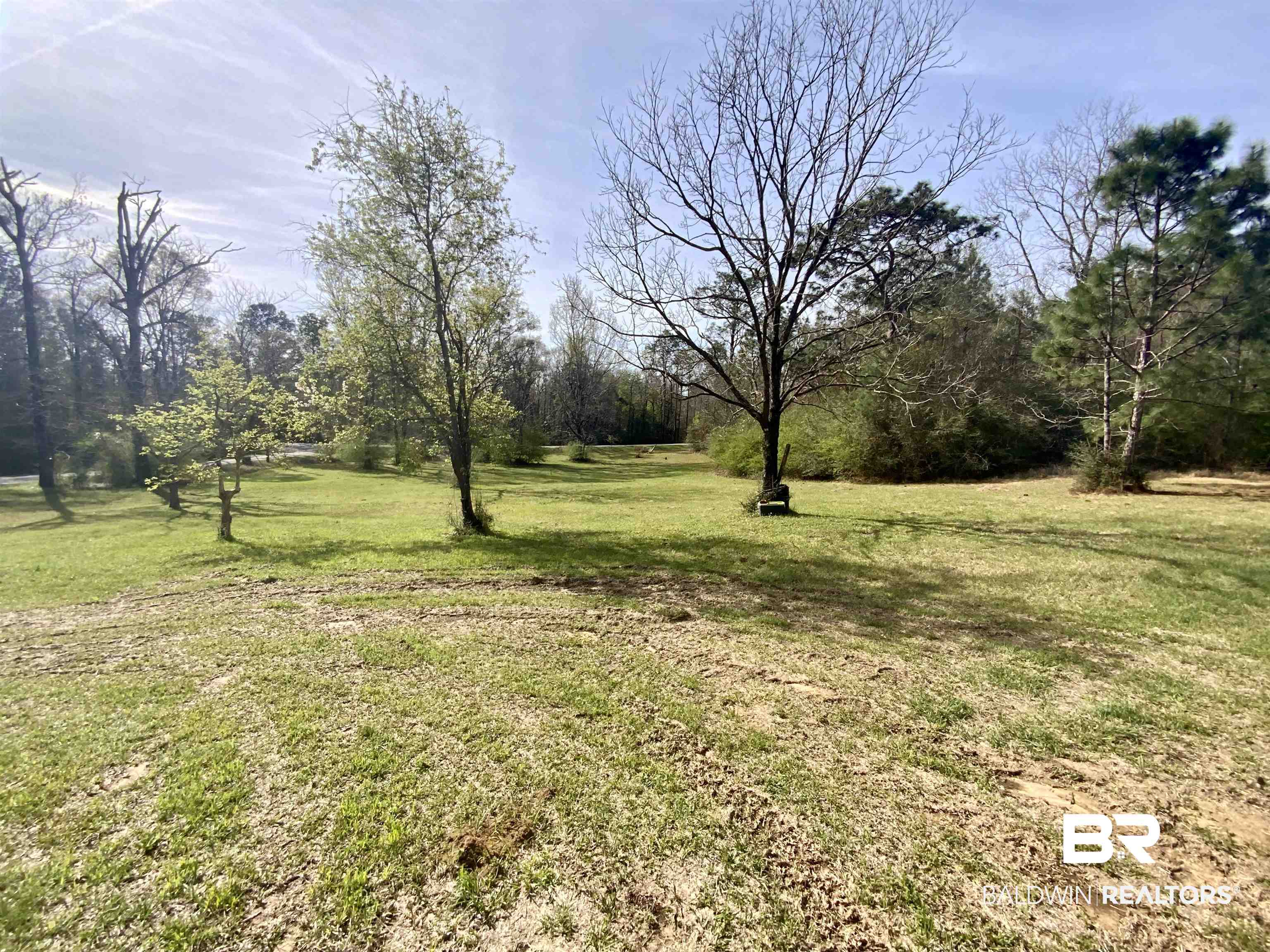 42871 Brown Road Bay Minette, AL 36507 - Photo 3 of 13