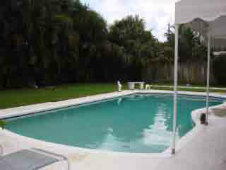 276 Northeast Olive Way Boca Raton, FL 33432 - Photo 2 of 9 Pool