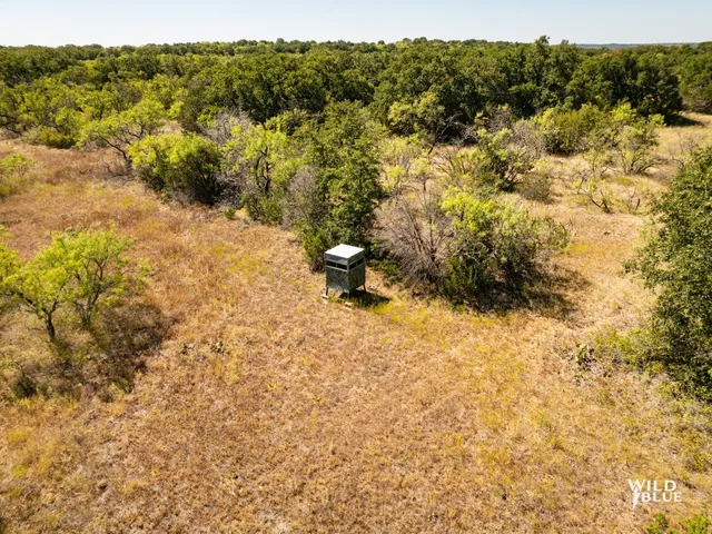 $250,000 | 10597 Cr 137 Breckenridge Tx 76470, Ranger, TX 76470