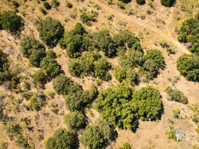 $250,000 | 10597 Cr 137 Breckenridge Tx 76470, Ranger, TX 76470