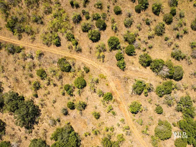 $250,000 | 10597 Cr 137 Breckenridge Tx 76470, Ranger, TX 76470