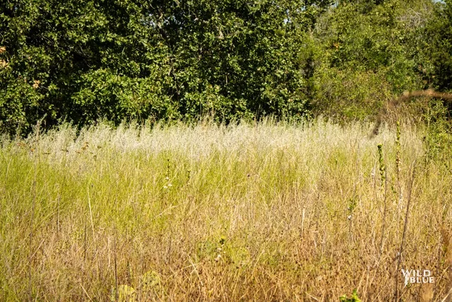 $250,000 | 10597 Cr 137 Breckenridge Tx 76470, Ranger, TX 76470