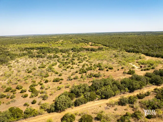 $250,000 | 10597 Cr 137 Breckenridge Tx 76470, Ranger, TX 76470