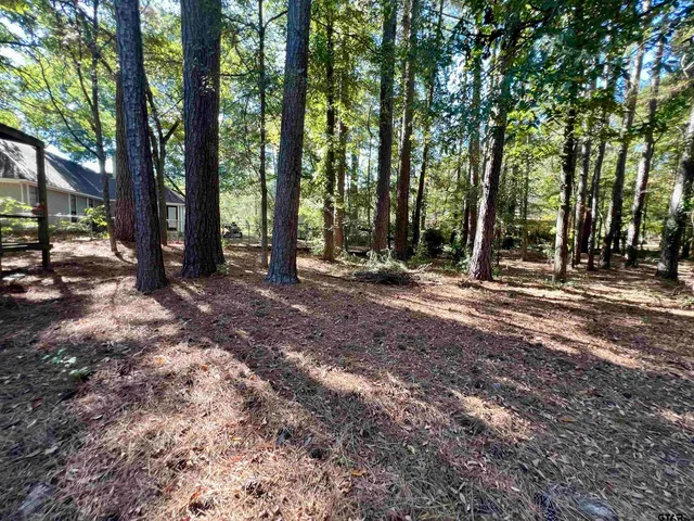 a view of outdoor space with trees all around