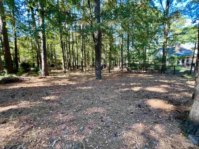a view of a chairs and table in the backyard
