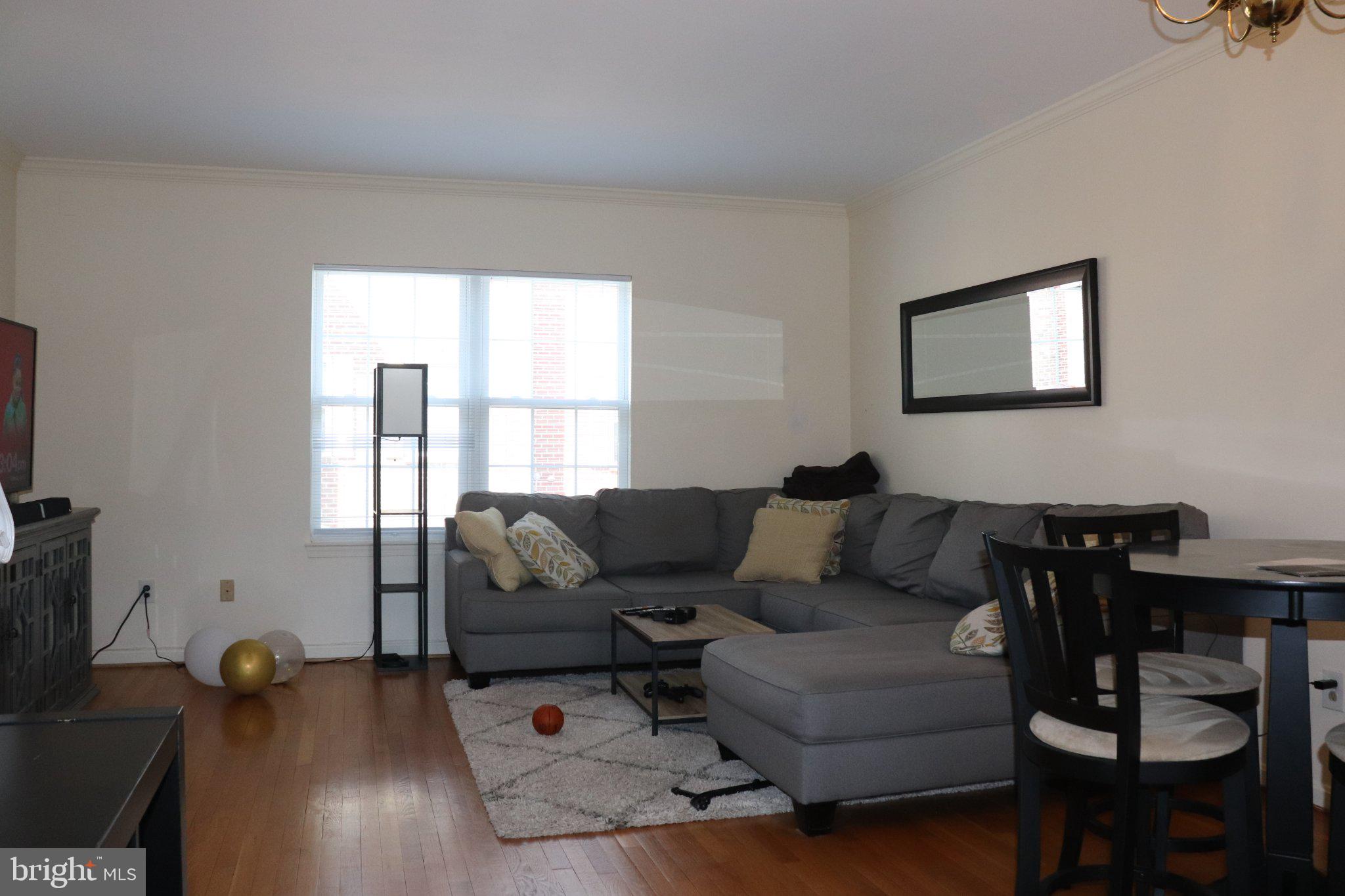 942 South Rolfe Street Arlington, VA 22204 - Photo 31 of 34 Bright and inviting living space.
