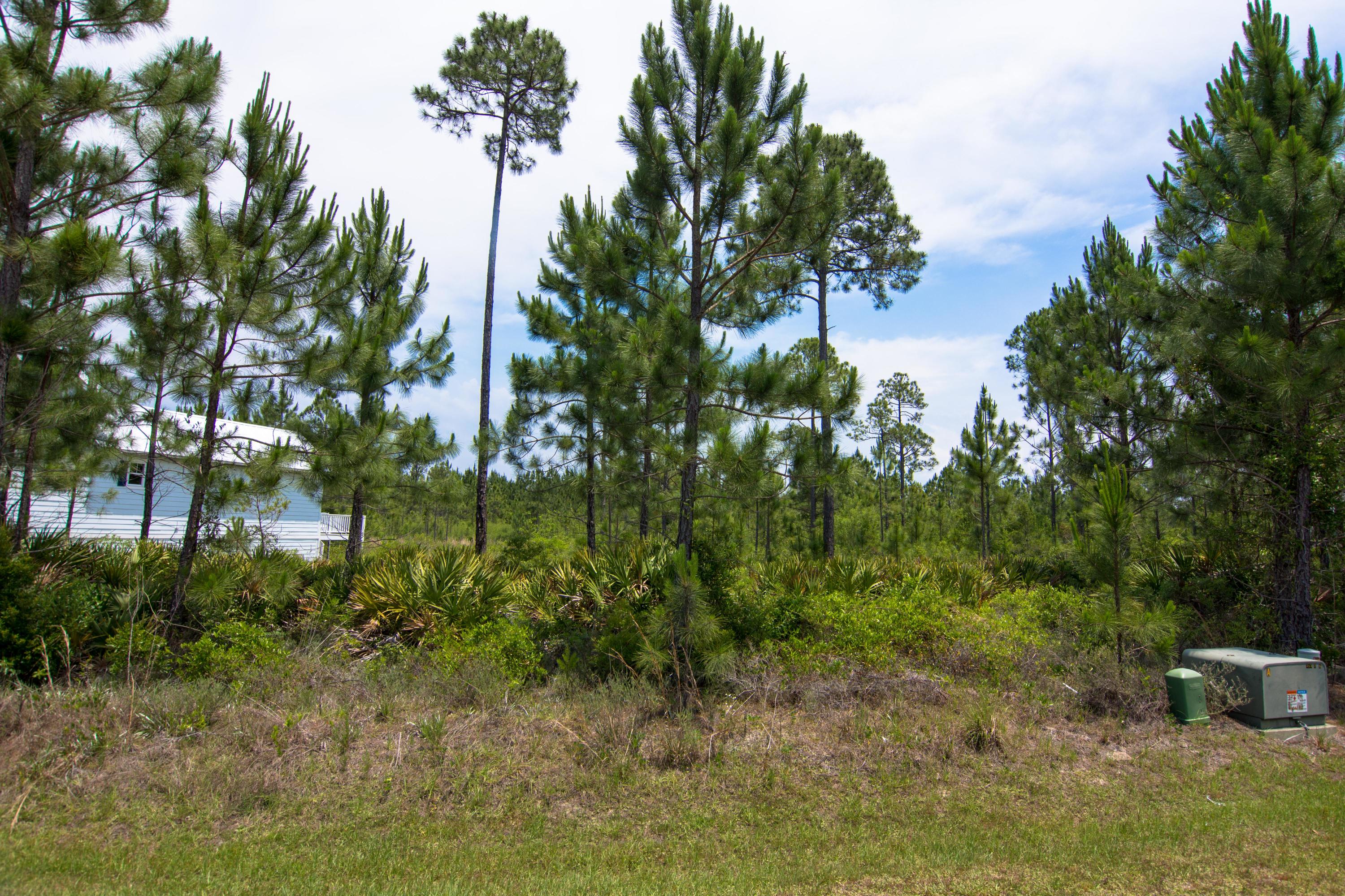 48 Breezeway Boulevard Santa Rosa Beach, FL 32459 - Photo 2 of 12 DSC_0668