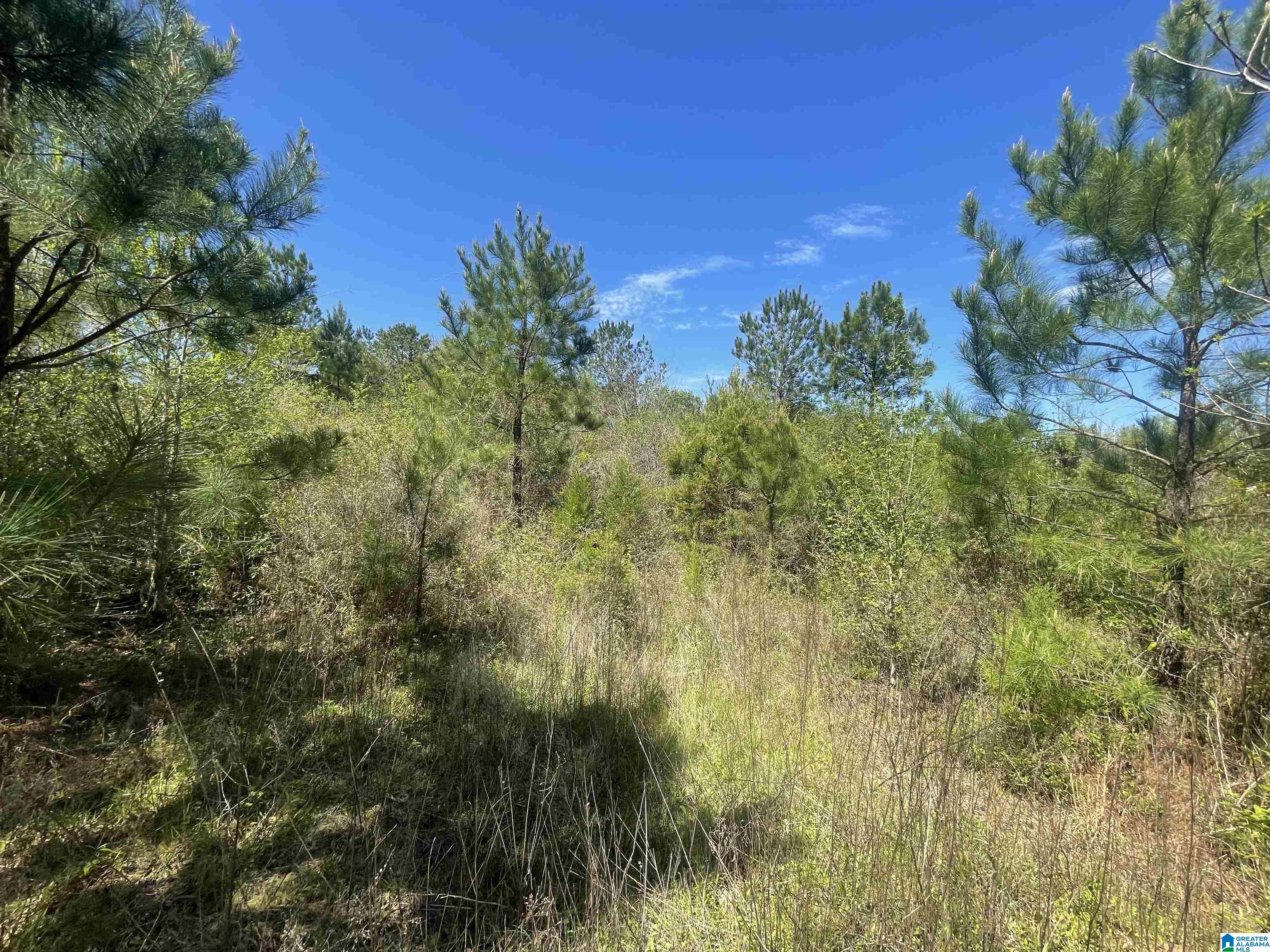 0 Richardson Road Brewton, AL 36426 - Photo 35 of 47