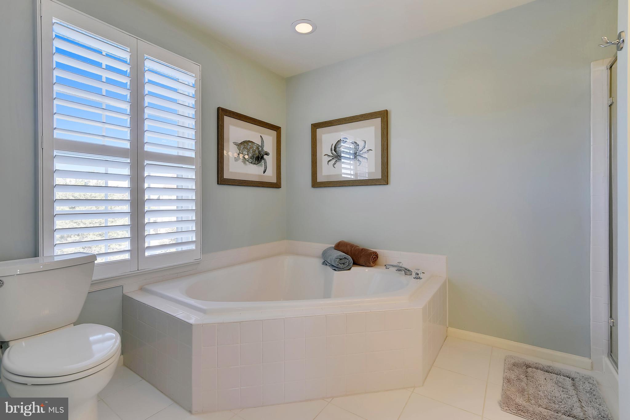44083 Rising Sun Terrace Ashburn, VA 20147 - Photo 21 of 30 Bath (Master)