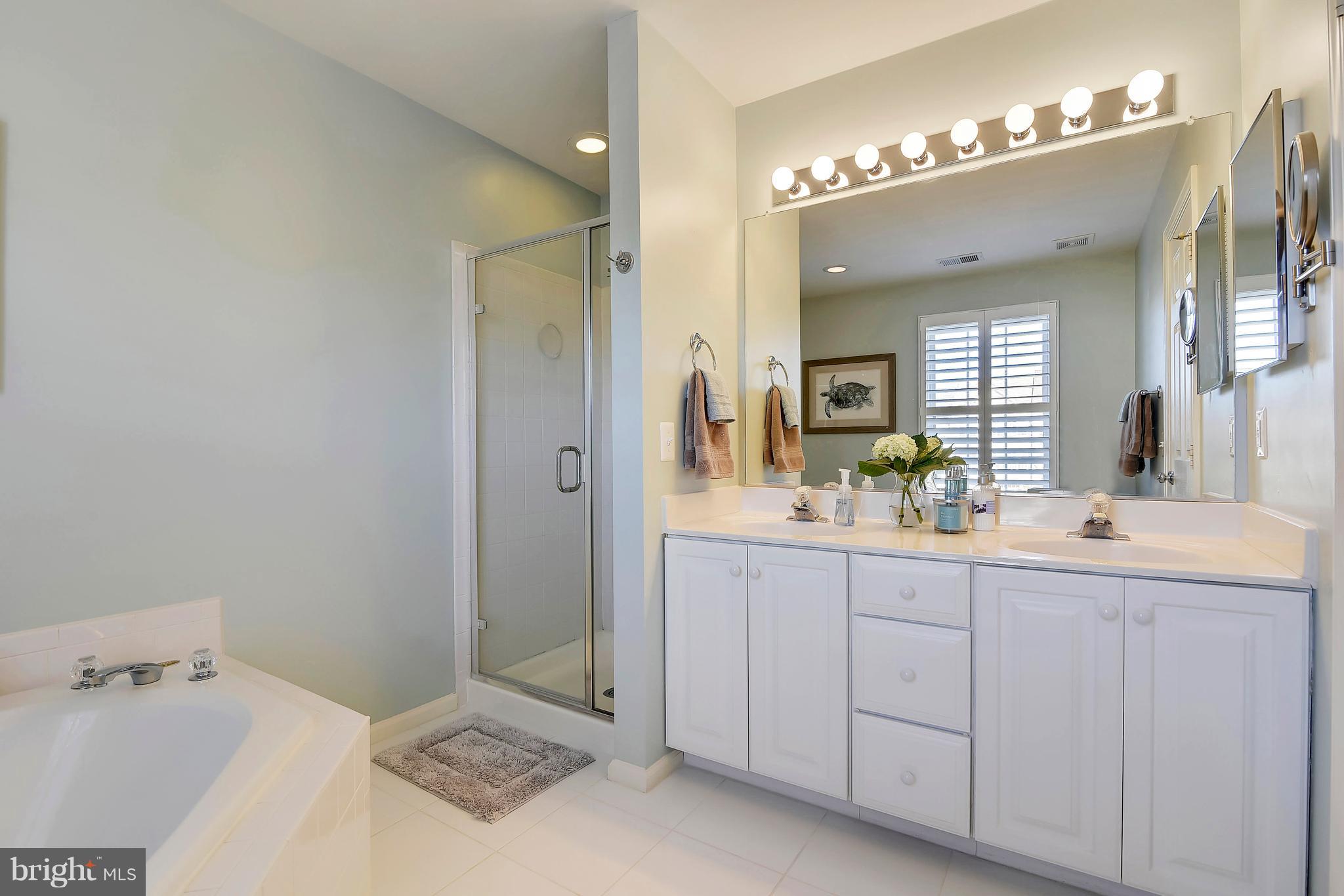 44083 Rising Sun Terrace Ashburn, VA 20147 - Photo 22 of 30 Bath (Master)