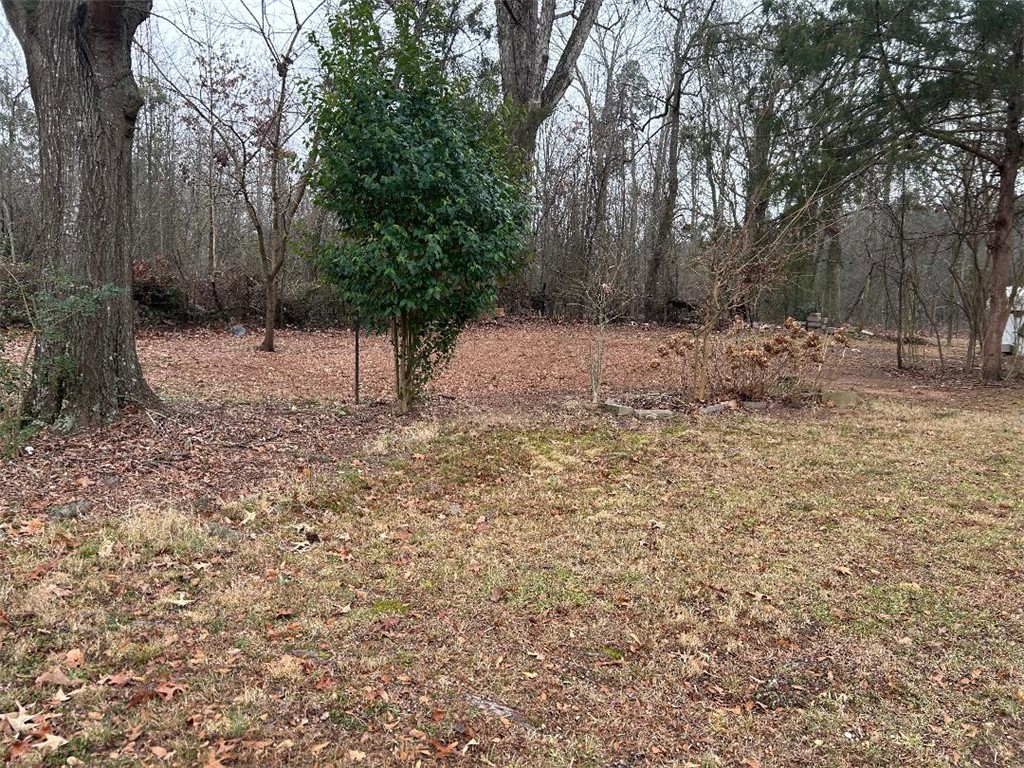 109 West Stewart Street Pelzer, SC 29669 - Photo 11 of 40