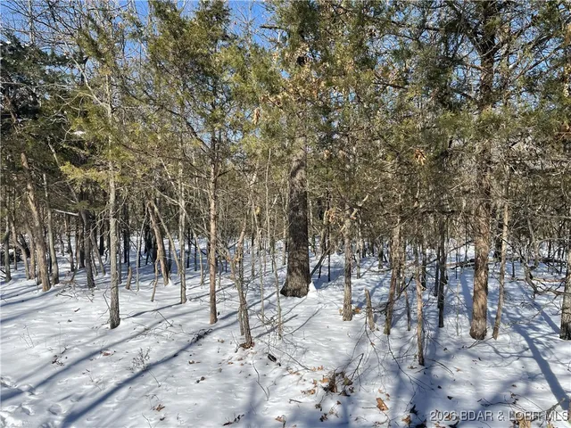 $30,000 | Nile Road, Stover, MO 65078