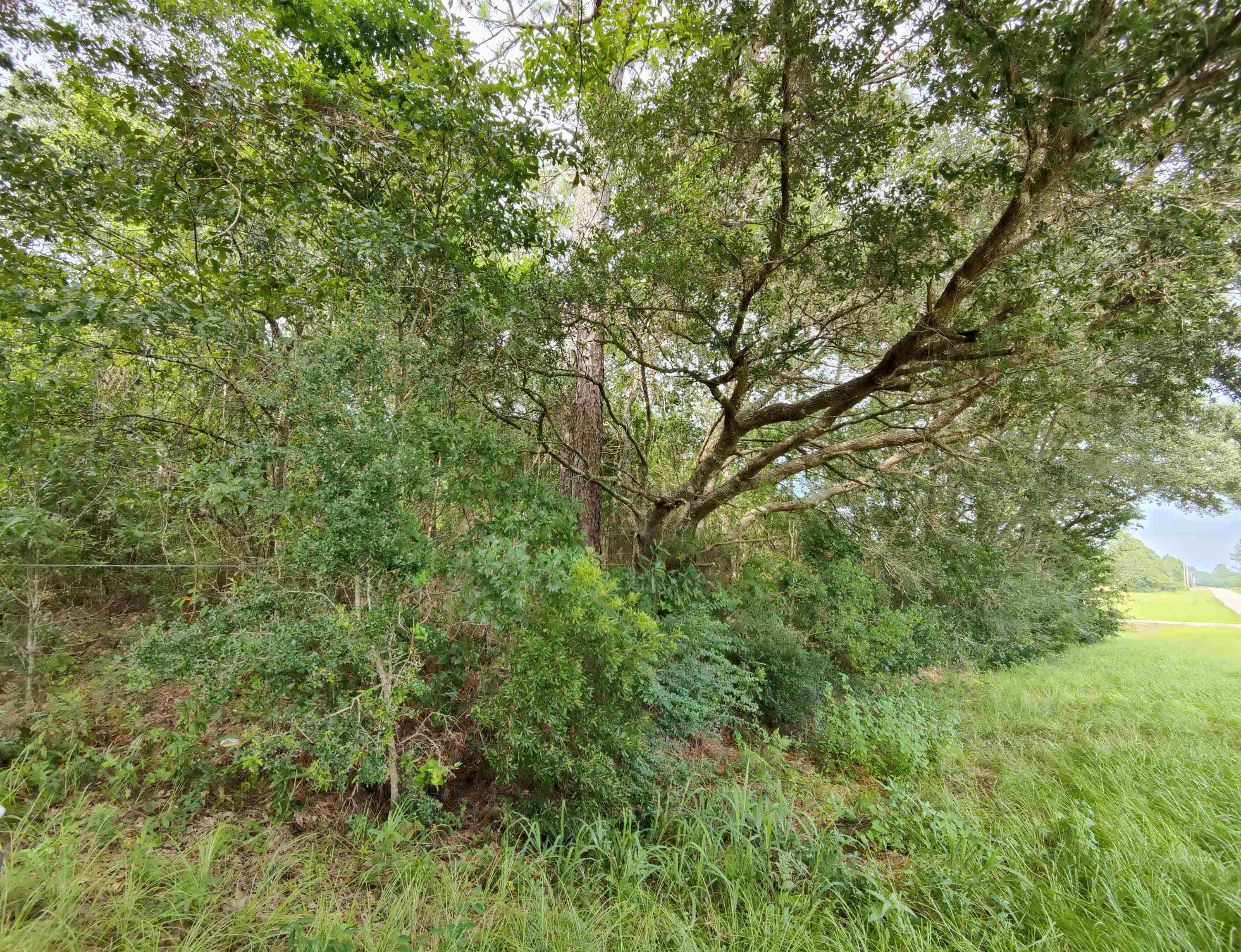 19527 South County Road 20 Foley, AL 36535 - Photo 1 of 1
