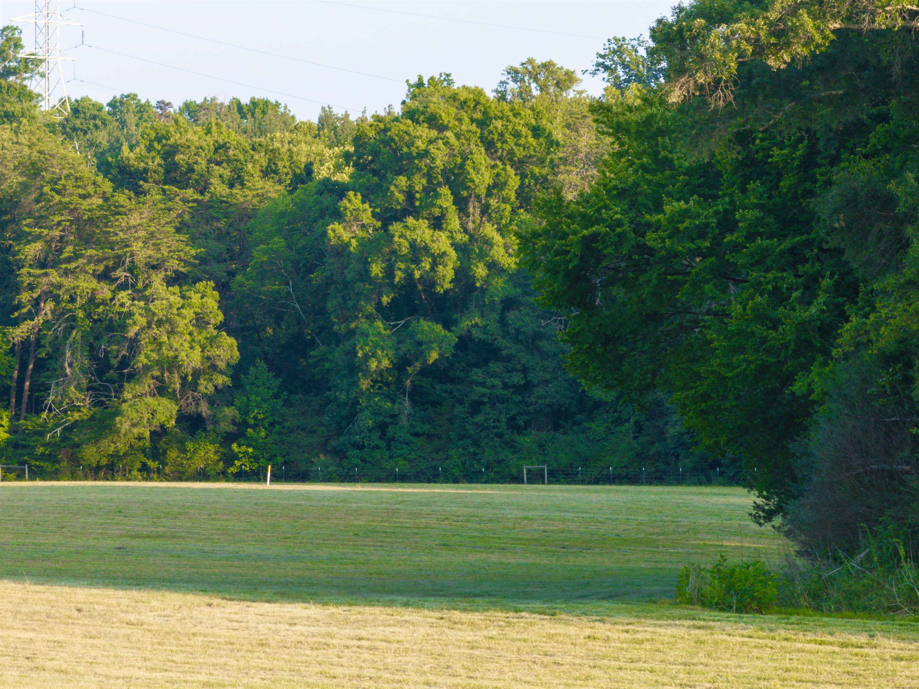 Tbd Tbd Bridgeport Road Arvonia, VA 23004 - Photo 10 of 60 Gallery Image 10