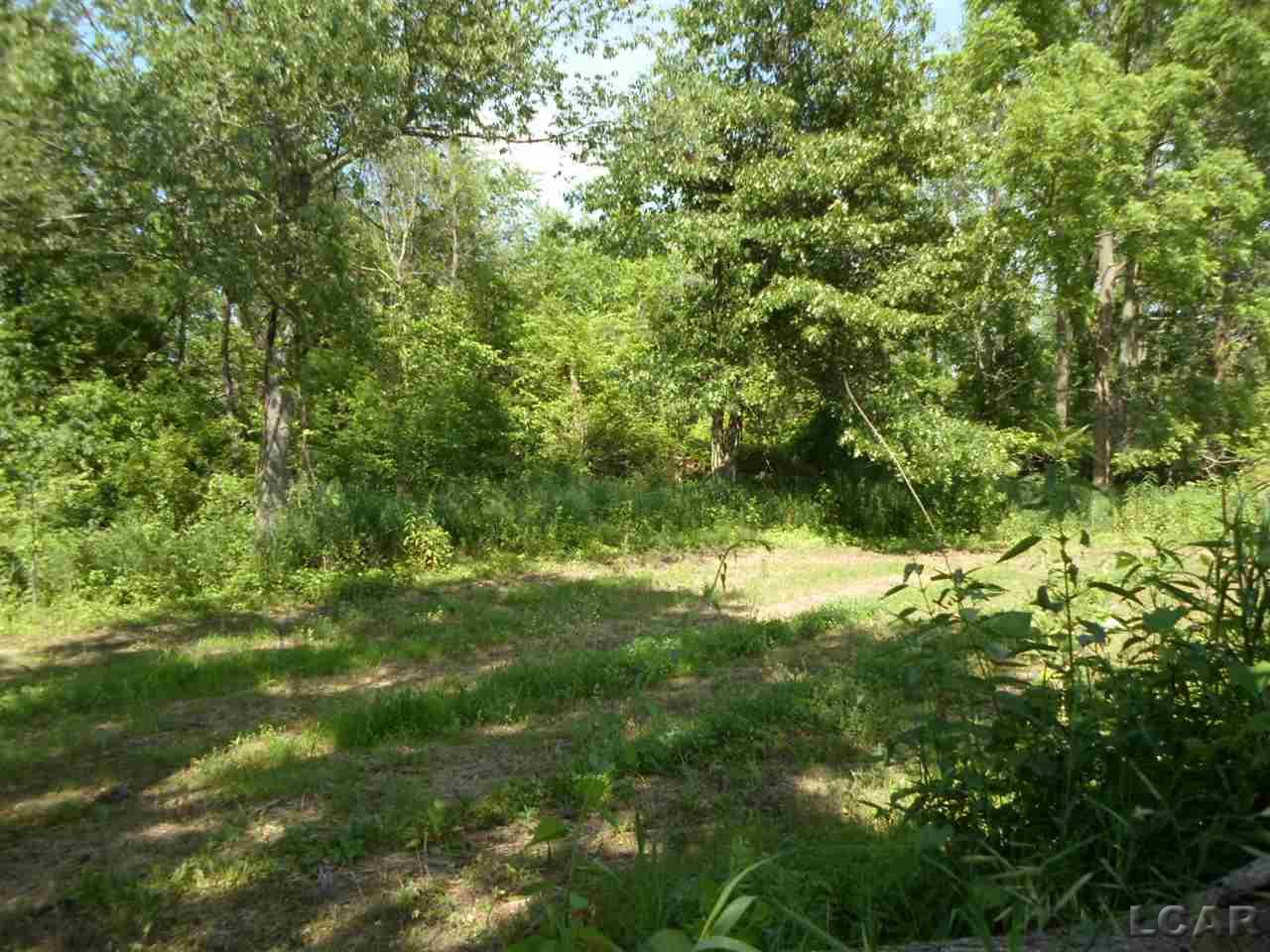 12000 Stephenson Road, Unit PARCEL A Brooklyn, MI 49230 - Photo 41 of 49