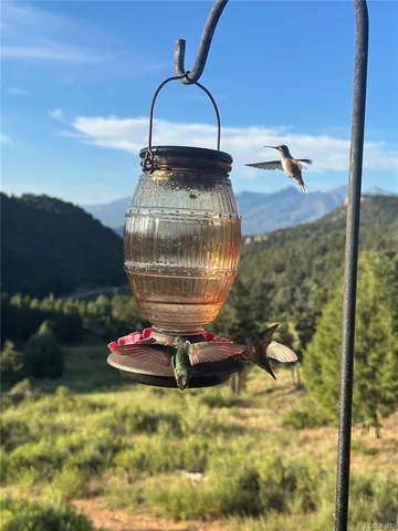 a bedroom with a bed and dresser next to a window