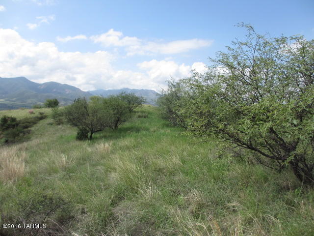 0 Off Temporal Canyon Road Patagonia, AZ 85624 - Photo 4 of 11