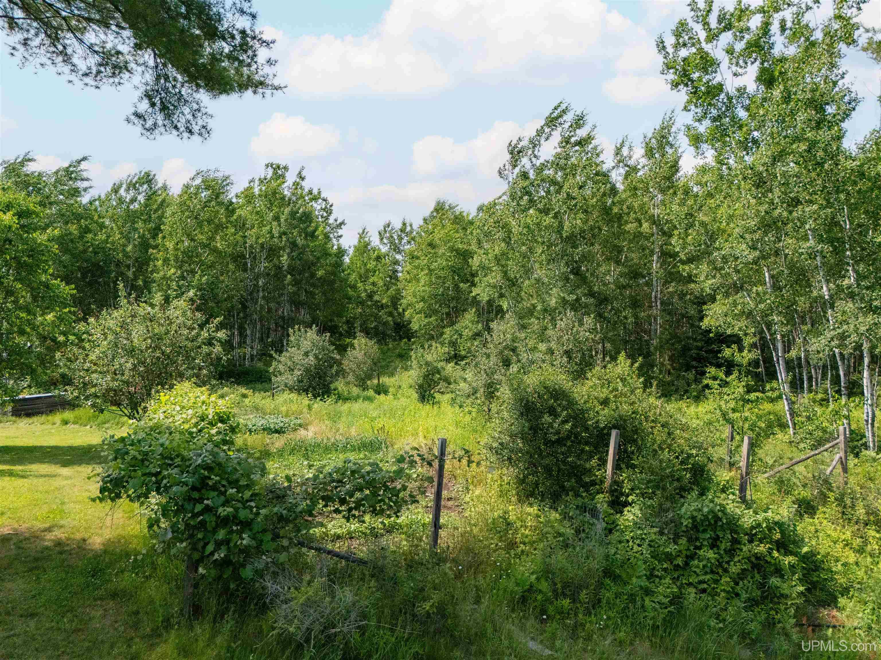 114 Blueberry Corner Road Crystal Falls, MI 49920 - Photo 41 of 43