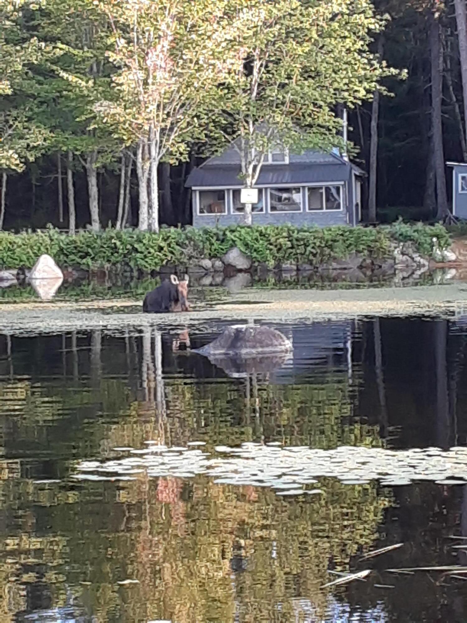 8 Beech Street Millinocket, ME 04462 - Photo 4 of 26 20210816_184007 (1)