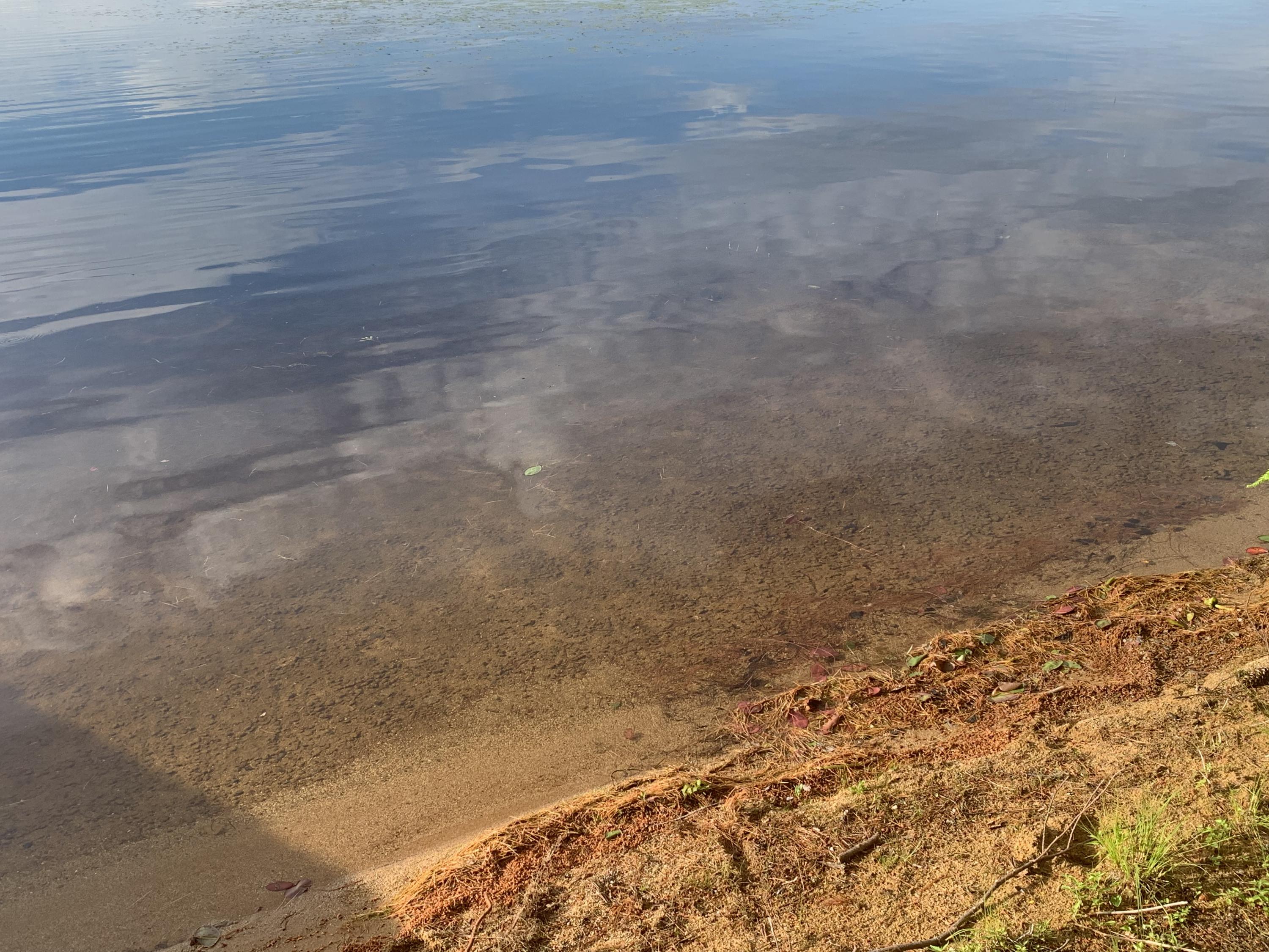 8 Beech Street Millinocket, ME 04462 - Photo 9 of 26 6EBFD13B-7781-425F-B3D3-74D5970937E9