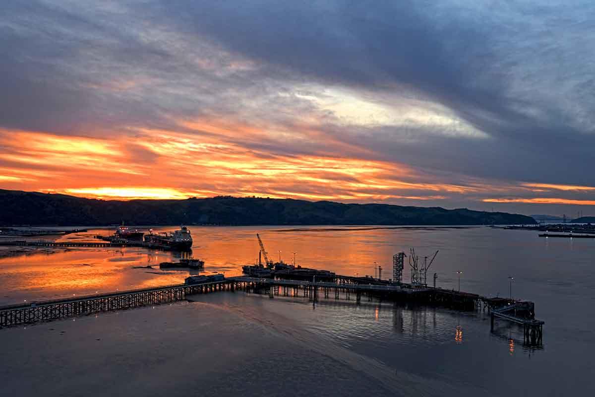 905 Tierney Place Martinez, CA 94553 - Photo 28 of 38