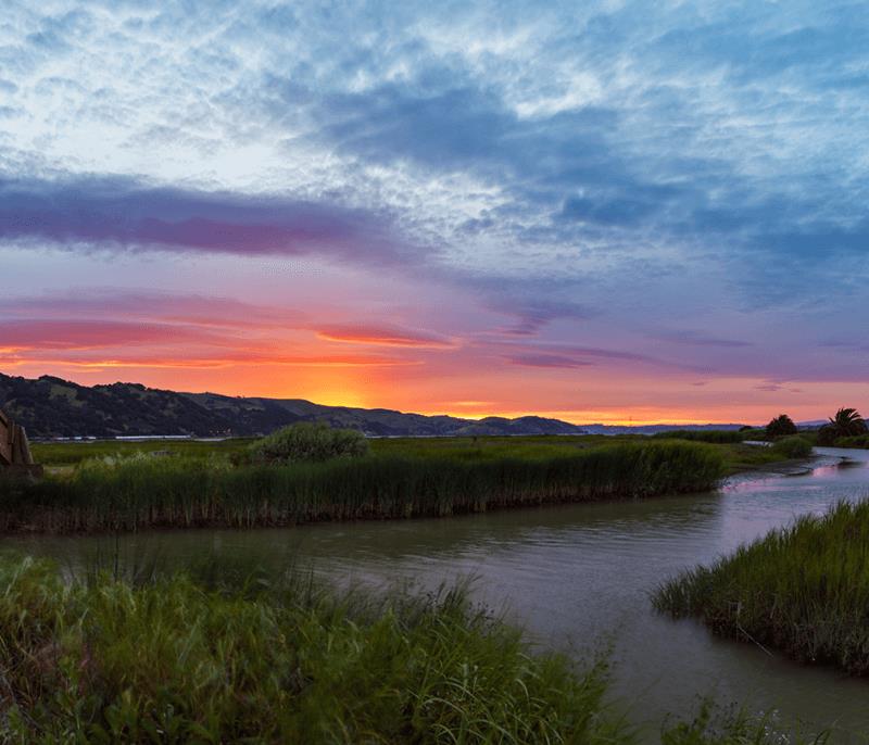 905 Tierney Place Martinez, CA 94553 - Photo 29 of 38