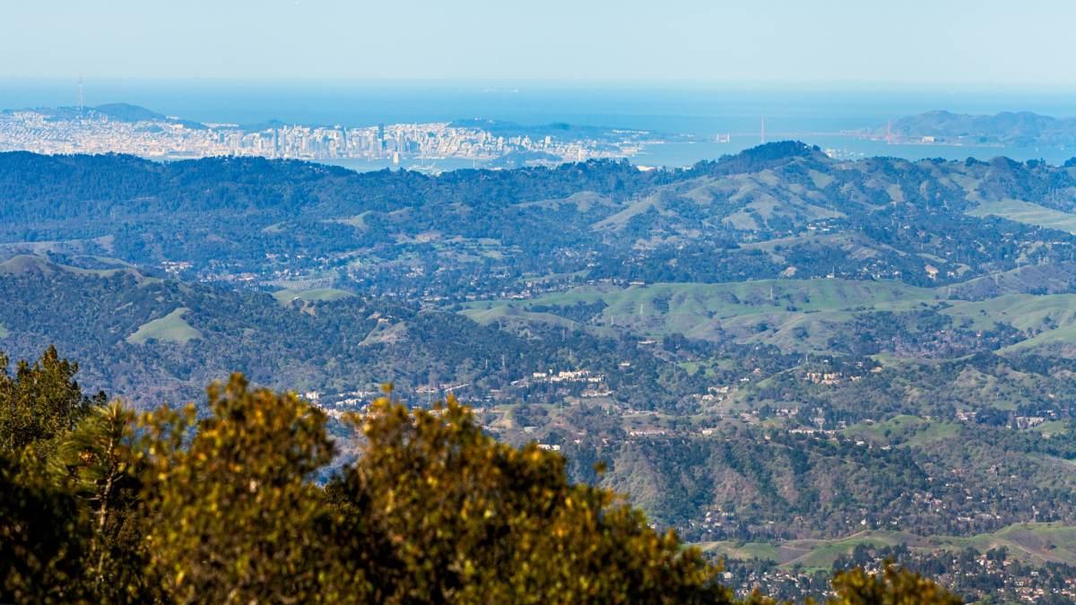 905 Tierney Place Martinez, CA 94553 - Photo 37 of 38