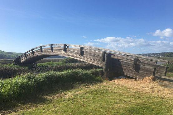 905 Tierney Place Martinez, CA 94553 - Photo 38 of 38