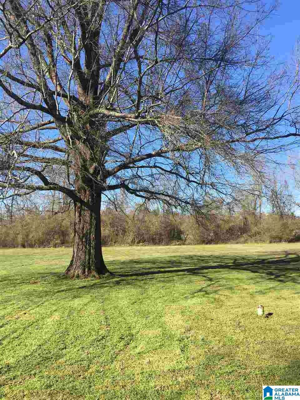 640 Bush Hill Road Moody, AL 35004 - Photo 6 of 9