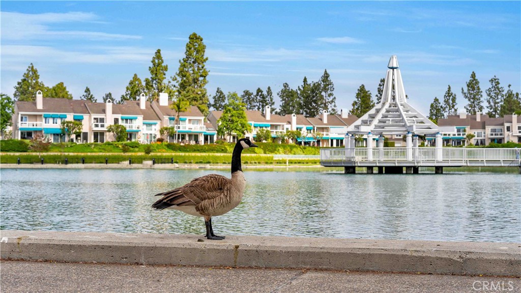 65 Pinewood, Unit 33 Irvine, CA 92604 - Photo 40 of 41