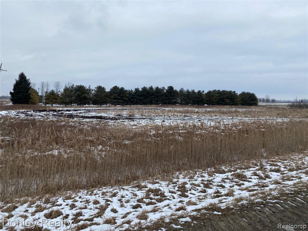 0 Maple Valley Road Brown City, MI 48416 - Photo 2 of 4