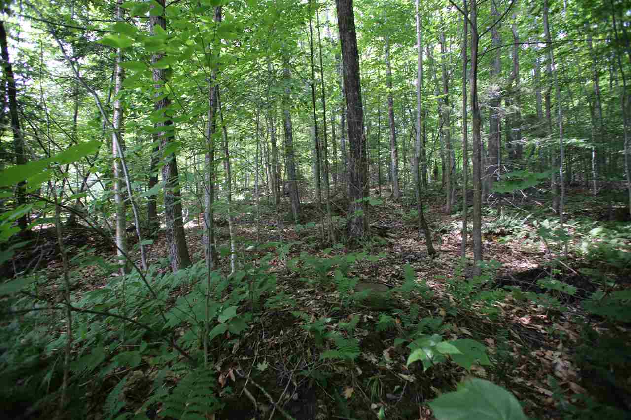 826 Westcott Road Duxbury, VT 05676 - Photo 15 of 33 Gallery Image 15