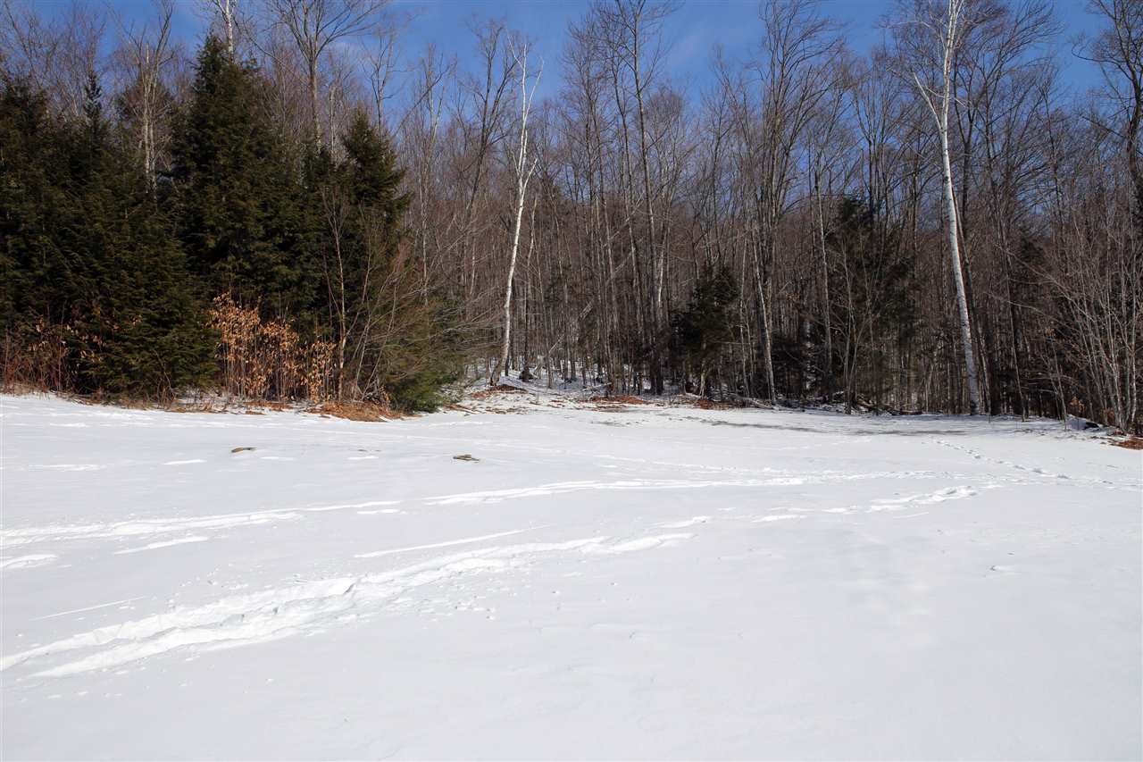 826 Westcott Road Duxbury, VT 05676 - Photo 21 of 33 Gallery Image 21